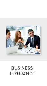 Wallet Insurance Cover Wallet Insurance 👪 Apr 2026